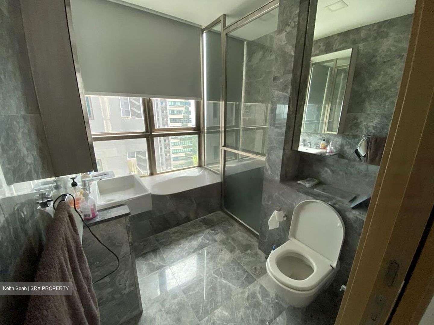 Skyline Residences (D4), Condominium #478832791